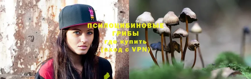 Галлюциногенные грибы MAGIC MUSHROOMS  как найти   kraken ТОР  Астрахань 